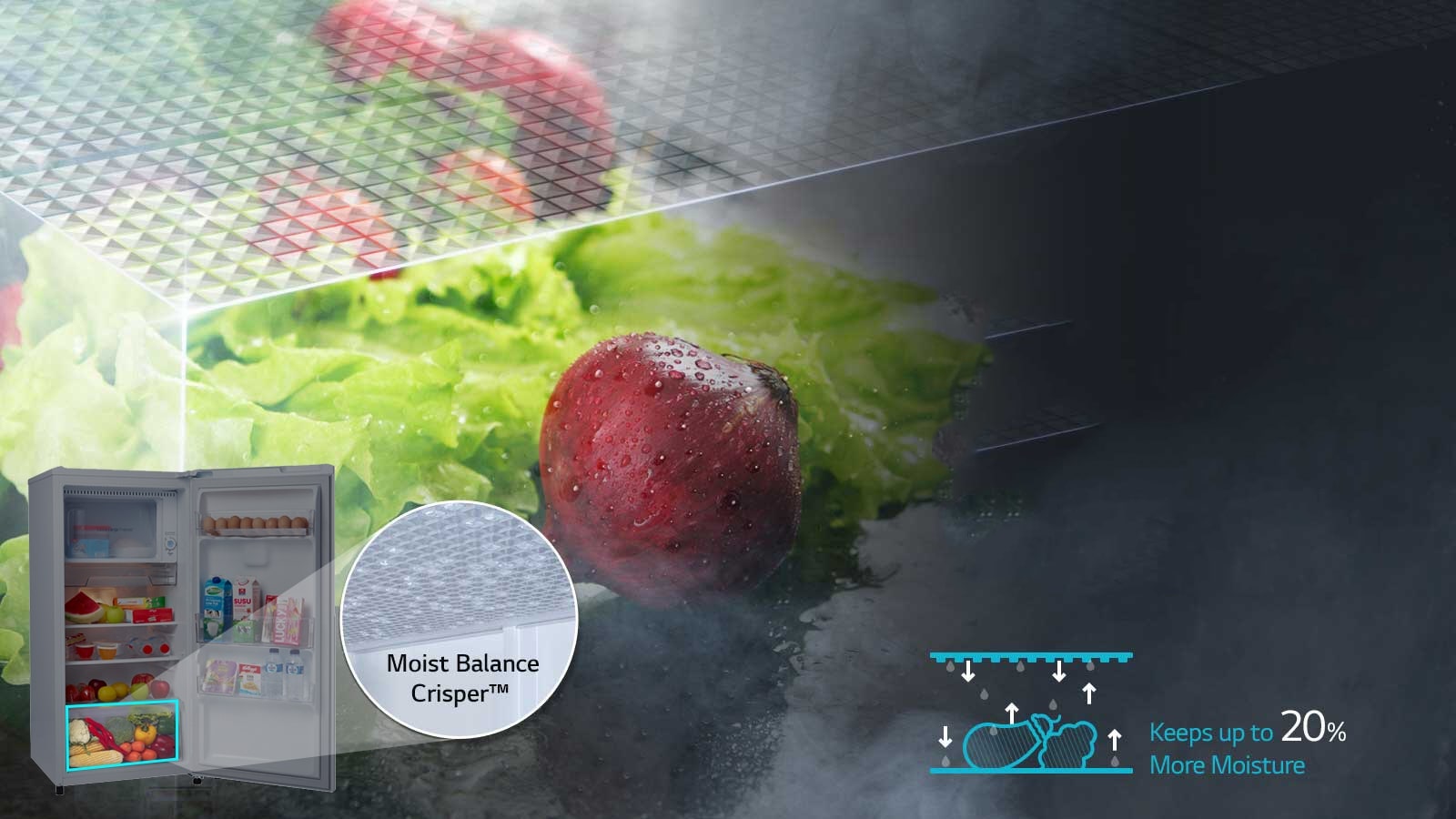 Moist Balance CrisperTM3