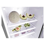 LG 199L 1-Door Refrigerator with Larger Capacity, GN-Y331SLS, thumbnail 5