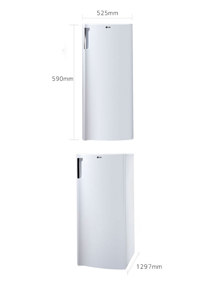 Lg standing fridge online