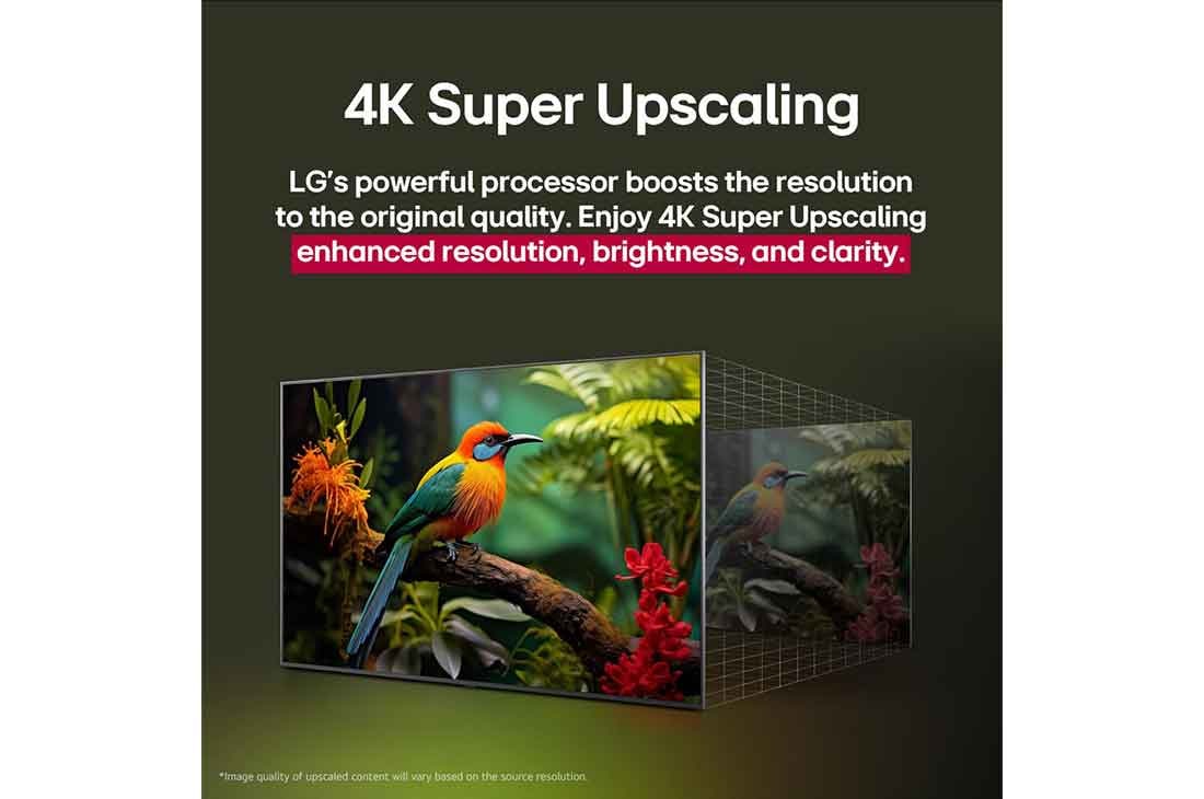 LG 43 inch LG UHD AI UA73 4K Smart TV AI Magic Remote Ready HDR10 webOS25 2025 , Before and after comparison of how LG 4K Super Upscaling improves image quality. Two panels showing the same image of a colorful bird sitting on a branch in a forest, panel on the right is faded out. , 43UA73006LA, thumbnail 7
