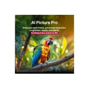 LG 75 inch LG QNED evo AI QNED86  MiniLED 4K 120Hz Smart TV AI Magic remote webOS25 2025 , Parrot on a tree branch in vivid color. The title talks about how LG Al Picture Pro made impressive visual enhancements to the scene's resolution, brightness, depth, and clarity., 75QNED86A6A, thumbnail 8