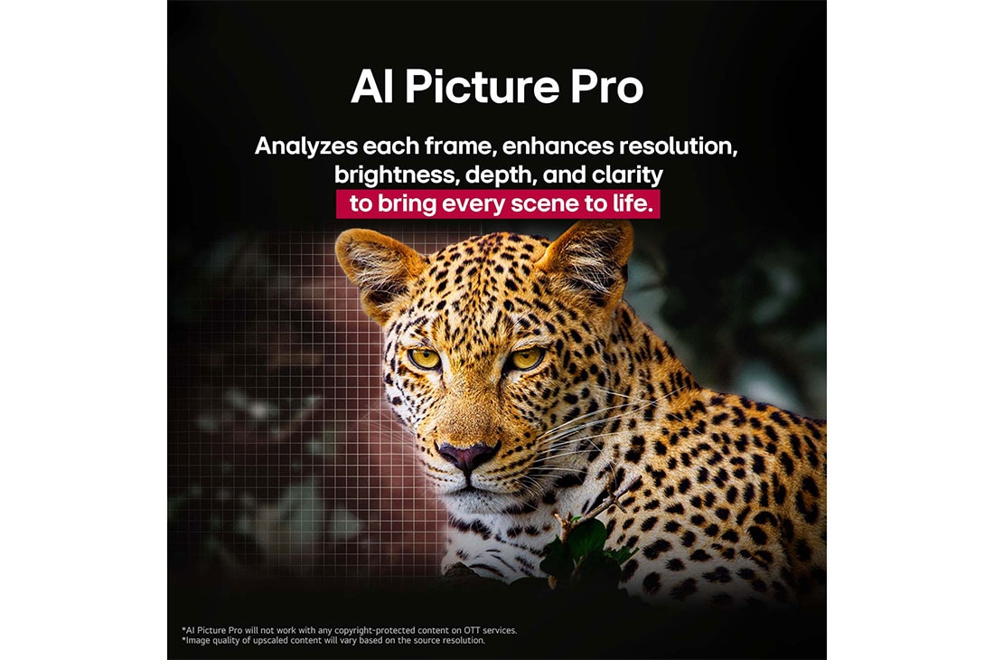 LG 65 inch LG OLED evo AI C5 4K 144Hz Smart TV AI Magic remote webOS25 2025 , Leopard in the forest in vivid color and detail. The leopard has a grid and a light glowing behind it, indicating how LG AI Picture Pro made impressive visual enhancements to the scene's resolution, b, OLED65C56LA, thumbnail 9