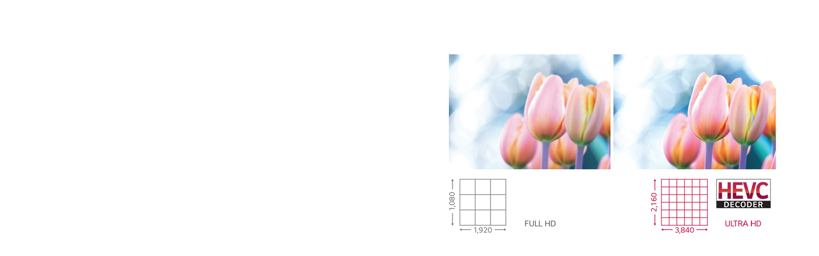 Qualité d'image et couleur parfaites1