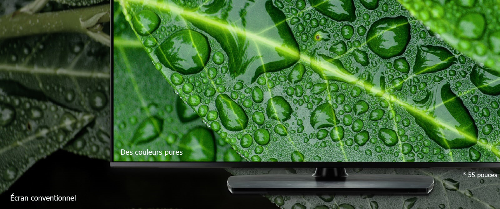 Des couleurs pures et une résolution 4K garantie 