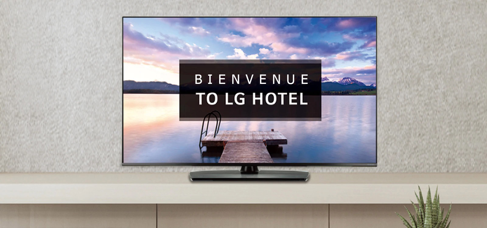 Vidéo/Écran d'accueil