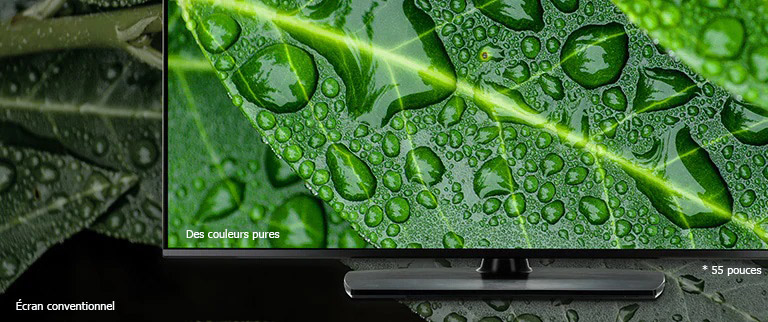 Des couleurs pures et une résolution 4K garantie 