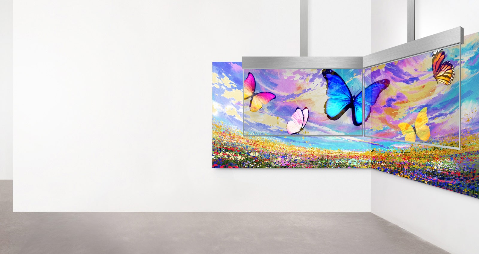 Une qualité d’image sans égale