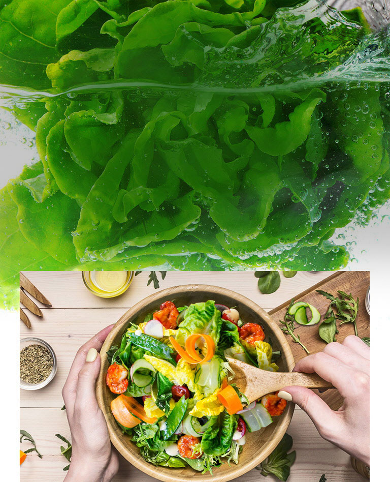 Conservez les aliments plus frais plus longtemps 1