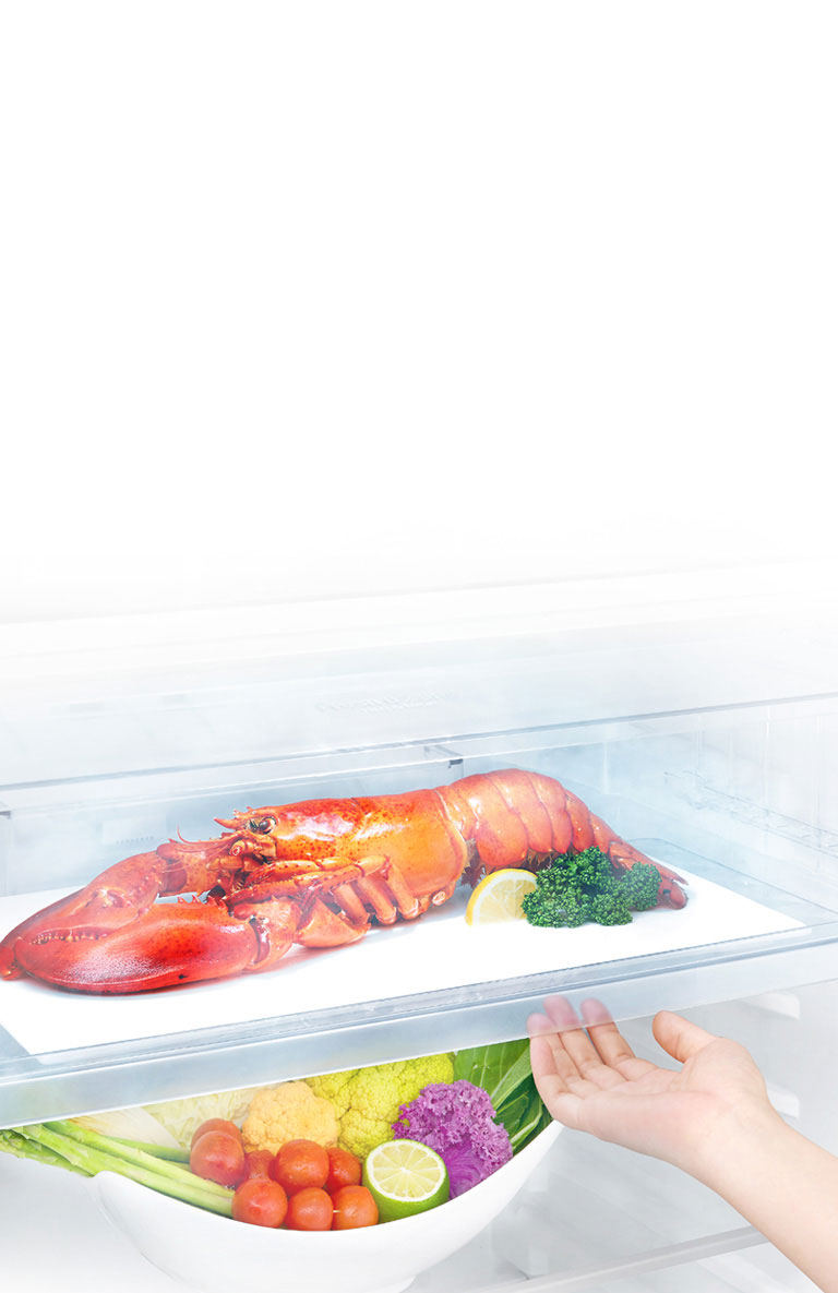 Réduisez le temps de décongélation de vos aliments