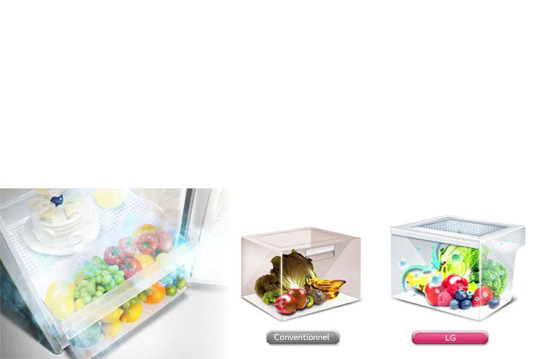 Moist Balance Crisper™