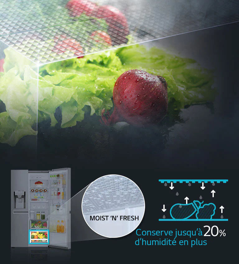 Moist Balance Crisper™ 2