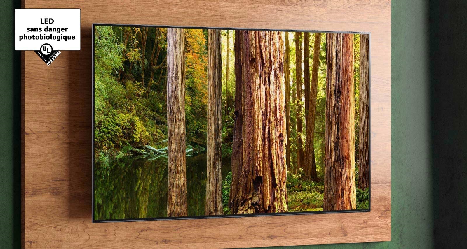 L’image d’une forêt sur l’écran de télévision avec la marque «&nbsp;certification LED sans danger photobiologique des laboratoires Underwriters (UL)&nbsp;».