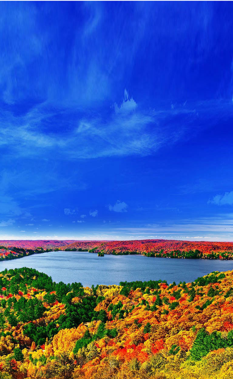 Processeur Quad Core, La source d’images plus vraies que nature