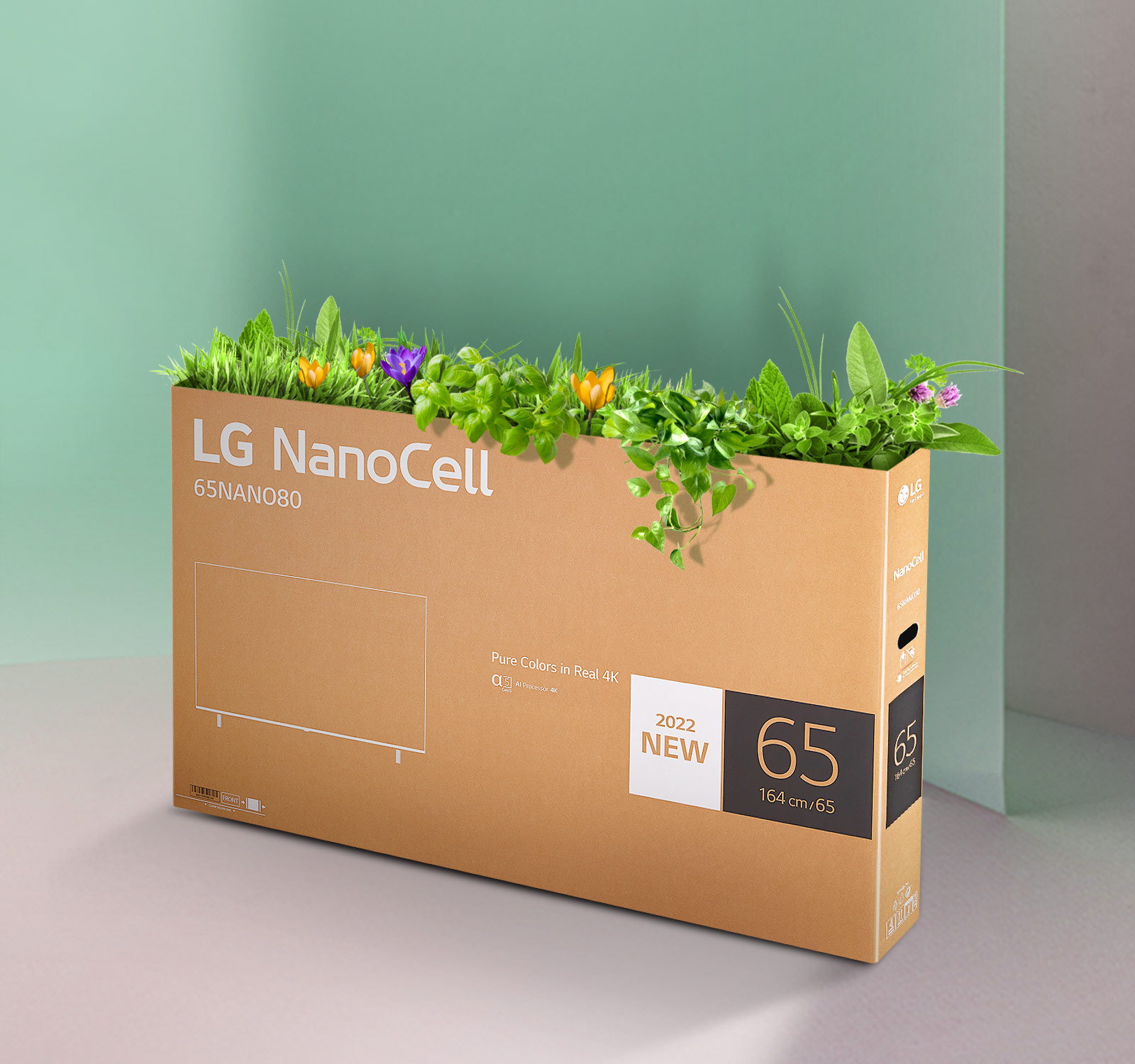 Boîte recyclable du téléviseur LG NanoCell avec des fleurs et des plantes qui poussent du haut de la boîte.