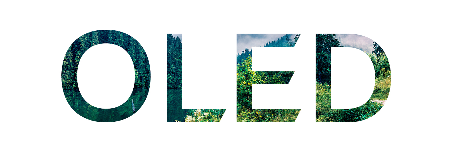 Une mention « OLED » avec une image de nature venant de la droite (lire la vidéo)