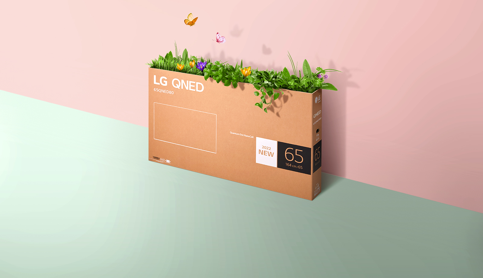 Une boîte d’emballage QNED est placée sur un fond rose et vert, avec de l’herbe qui pousse et des papillons qui sortent de la boîte. 