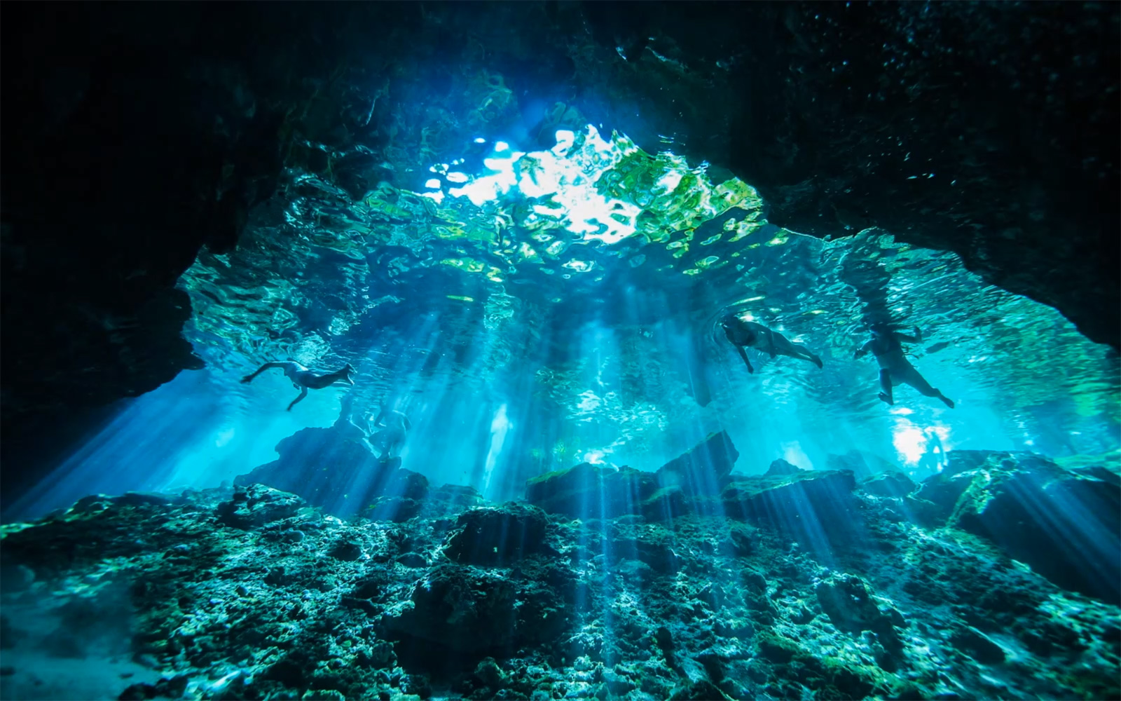 Une scène sous-marine avec des rayons du soleil transperçant l'eau (lire la vidéo).