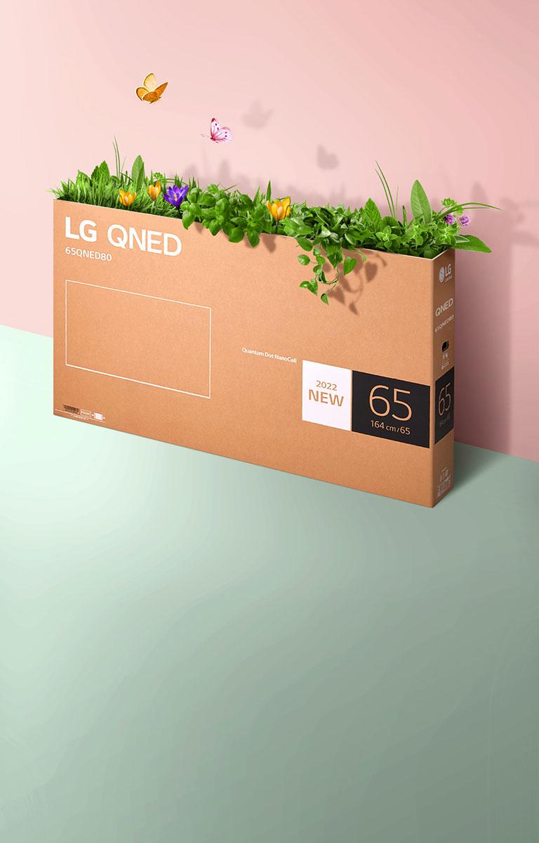 Une boîte d’emballage QNED est placée sur un fond rose et vert, avec de l’herbe qui pousse et des papillons qui sortent de la boîte. 