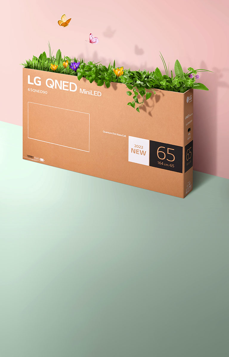 Une boîte d’emballage QNED est placée sur un fond rose et vert, avec de l’herbe qui pousse et des papillons qui sortent de la boîte. 