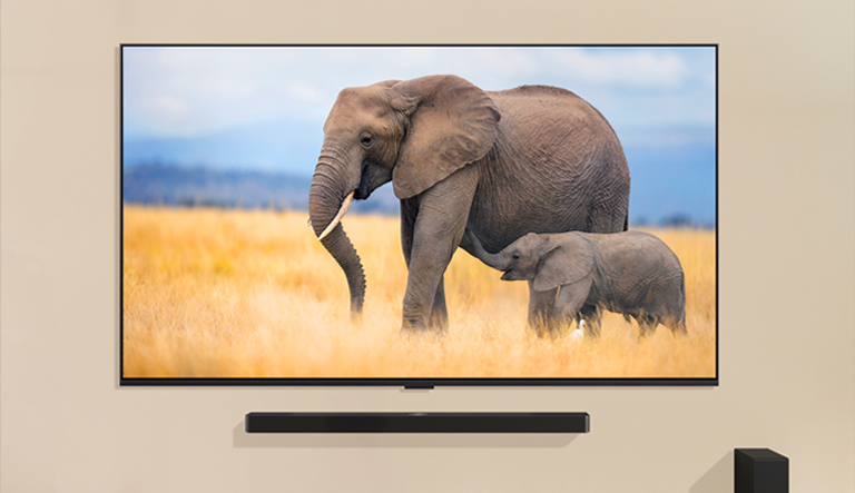 Un enfant se tient debout face à une grande TV affichant l’image de deux éléphants, l’un adulte l’autre bébé, marchant dans l’herbe.
