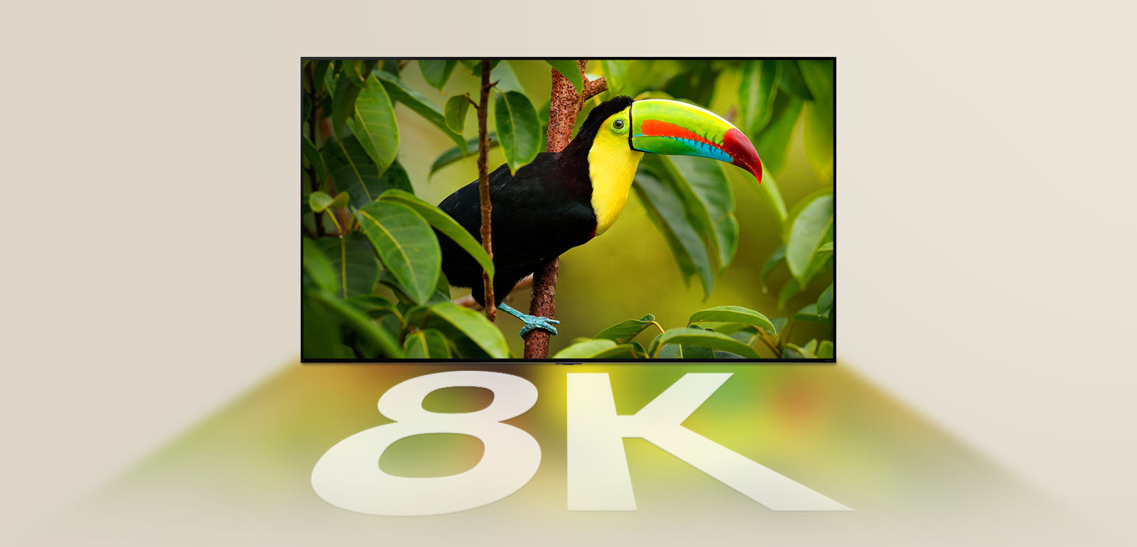 Téléviseur LG montrant un oiseau exotique avec des arbres sur l'écran, les couleurs de l'écran et du « 8K » en blanc se reflétant sous le téléviseur LG.