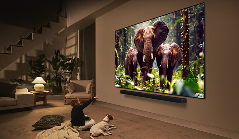 Une fille et un chien sont assis devant une LG QNED TV installée sur un mur représentant trois éléphants marchant vers l’extérieur au-dessus d’une LG Soundbar. 