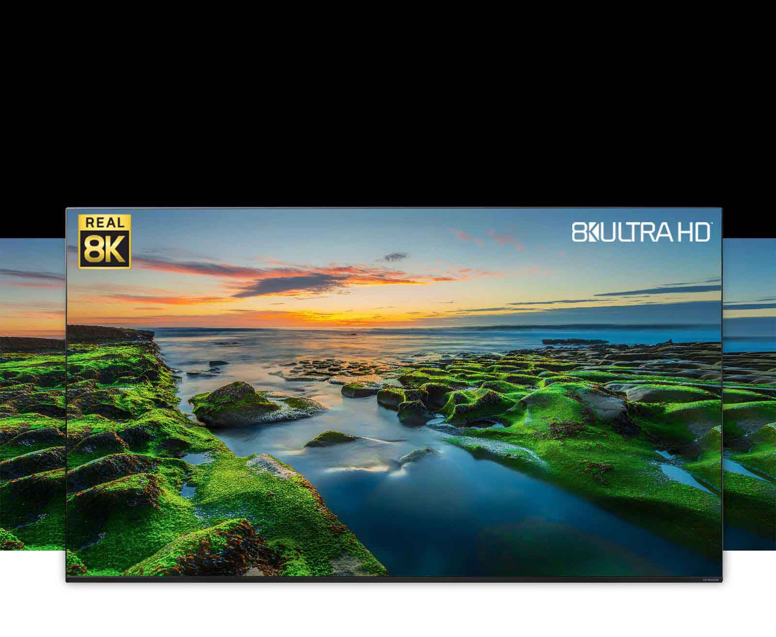 Écran de téléviseur montrant une large vue sur la nature avec les logos de la Real 8K et de la CTA