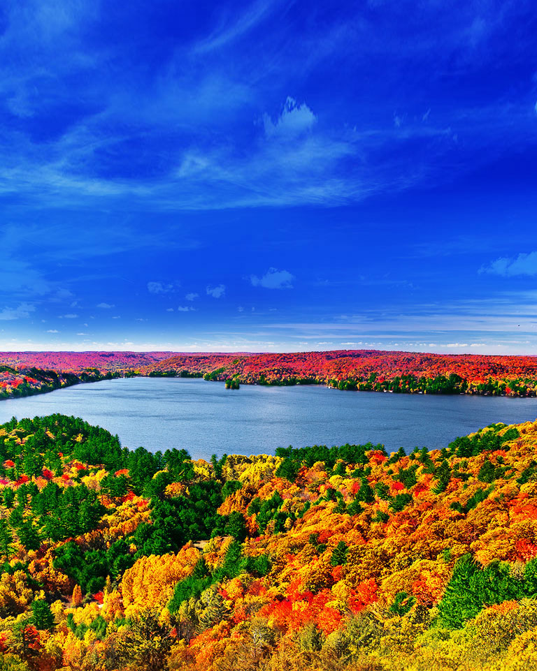 Processeur Quad Core La source des images 4K<br>2