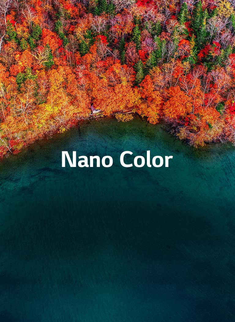 Des couleurs encore plus pures2