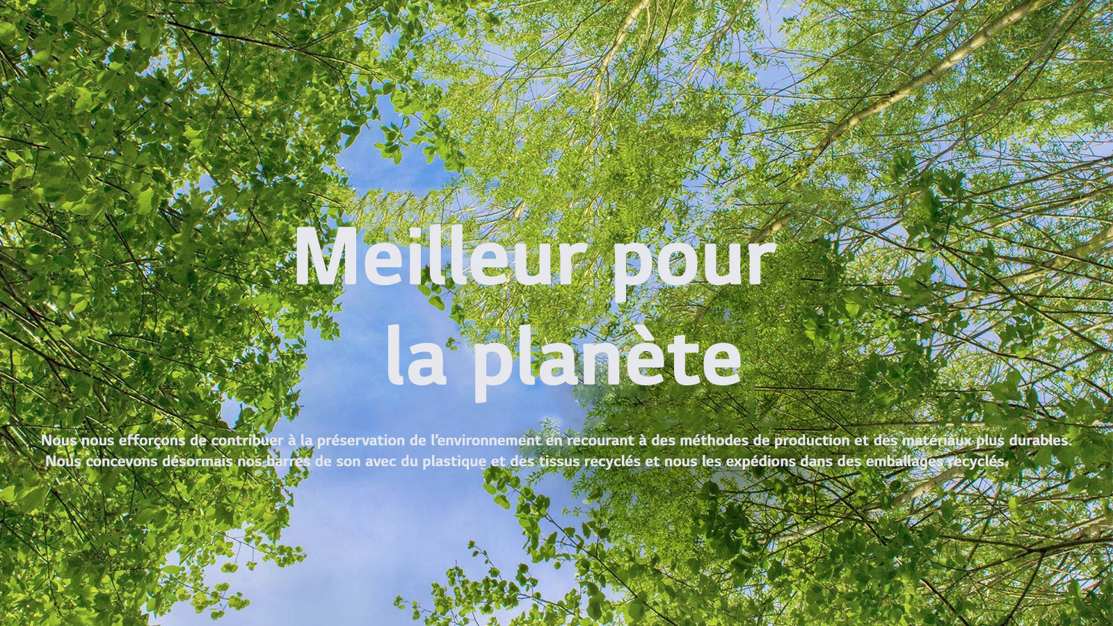 A green image full of rich leafy trees and a sky is showing in-between