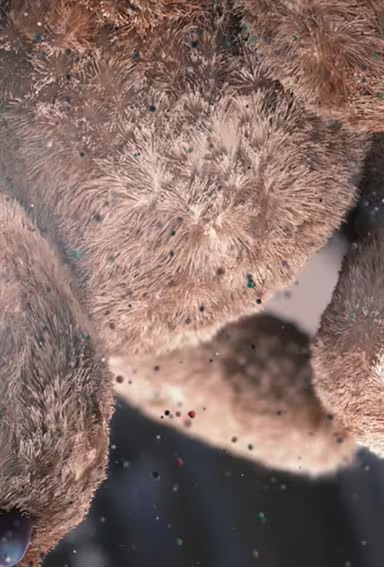 Cette video présente les polluants éliminés du linge dans la machine à laver et un ours en peluche dans le sèche-linge. Pendant le séchage, les poussières et autres substances similaires sont éliminées.