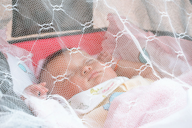 Éliminer l’eau stagnante: arrêter les moustiques avant qu’ils n’apparaissent