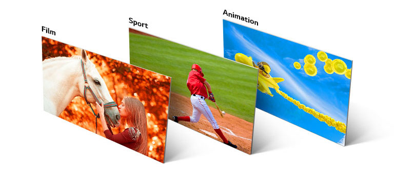 Trois images, la première montre une fille embrassant un cheval, la deuxième un joueur de base-ball frappant une balle et la troisième montre un avion animé volant dans le ciel.