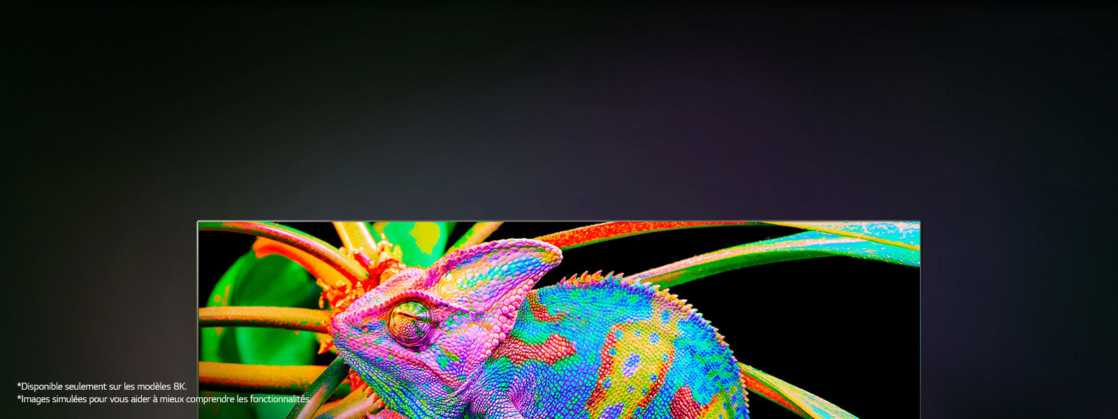 Il existe un téléviseur qui permet de zoomer sur des caméléons colorés pour observer les détails de leur peau.