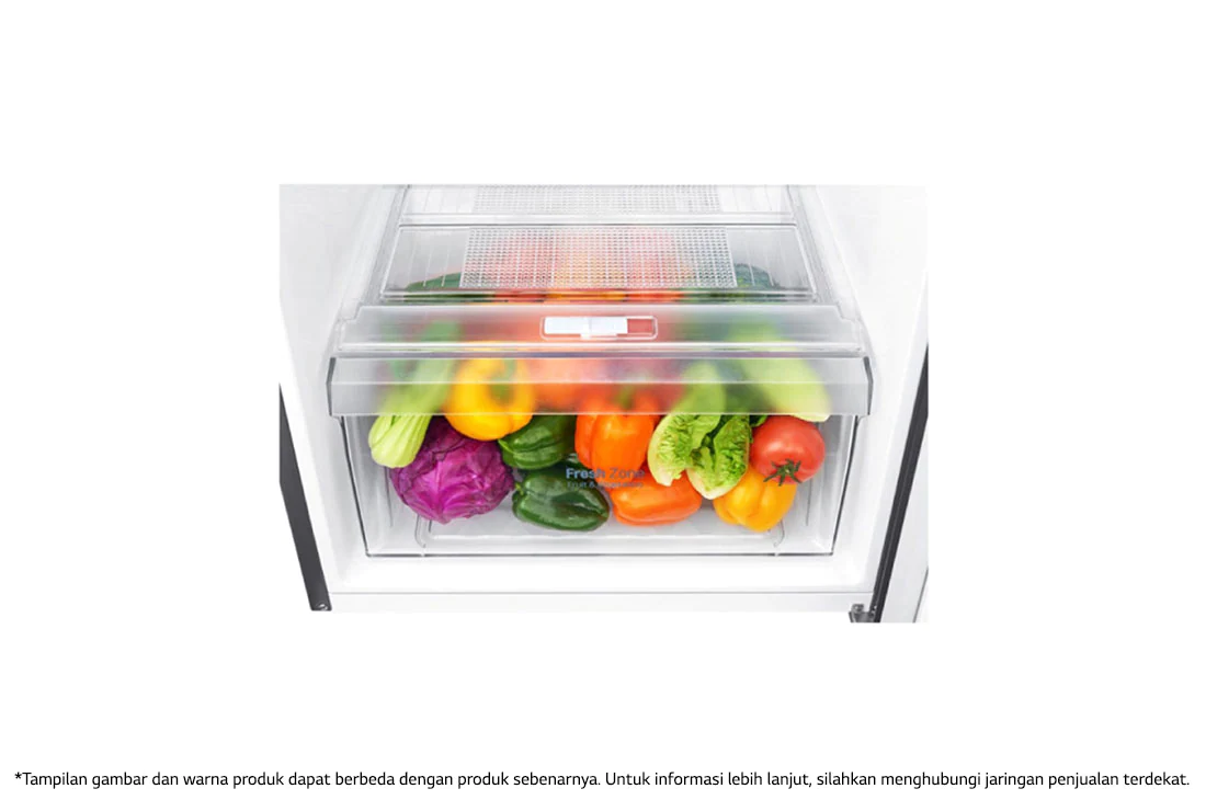 LG Réfrigérateur à deux portes de 272 litres, d’une capacité brute/nette de 254 litres, d’un compresseur à onduleur Smart Inverter et de la technologie Door Cooling+™, GN-G272SLCB - Hygiene Fresh+, GN-G272SLCB, thumbnail 14