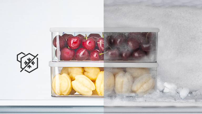 Fruits dans des boîtes en plastique, la moitié est congelée, l’autre moitié non.