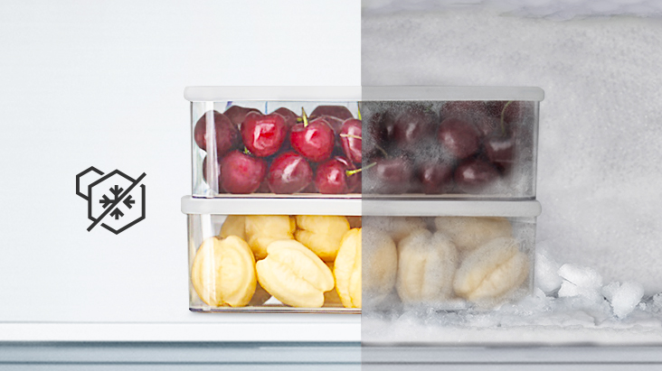 Fruits dans des boîtes en plastique, la moitié est congelée, l’autre moitié non.