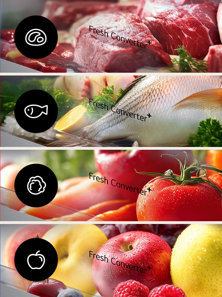 Des compartiments de Fresh Converter présentés pour stocker de la viande, du poisson, des légumes et des fruits à différentes températures.