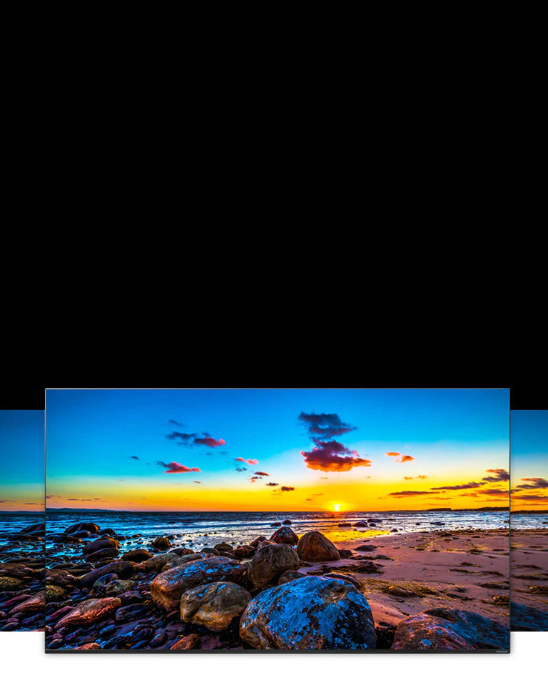 Écran de téléviseur montrant une large vue de la nature