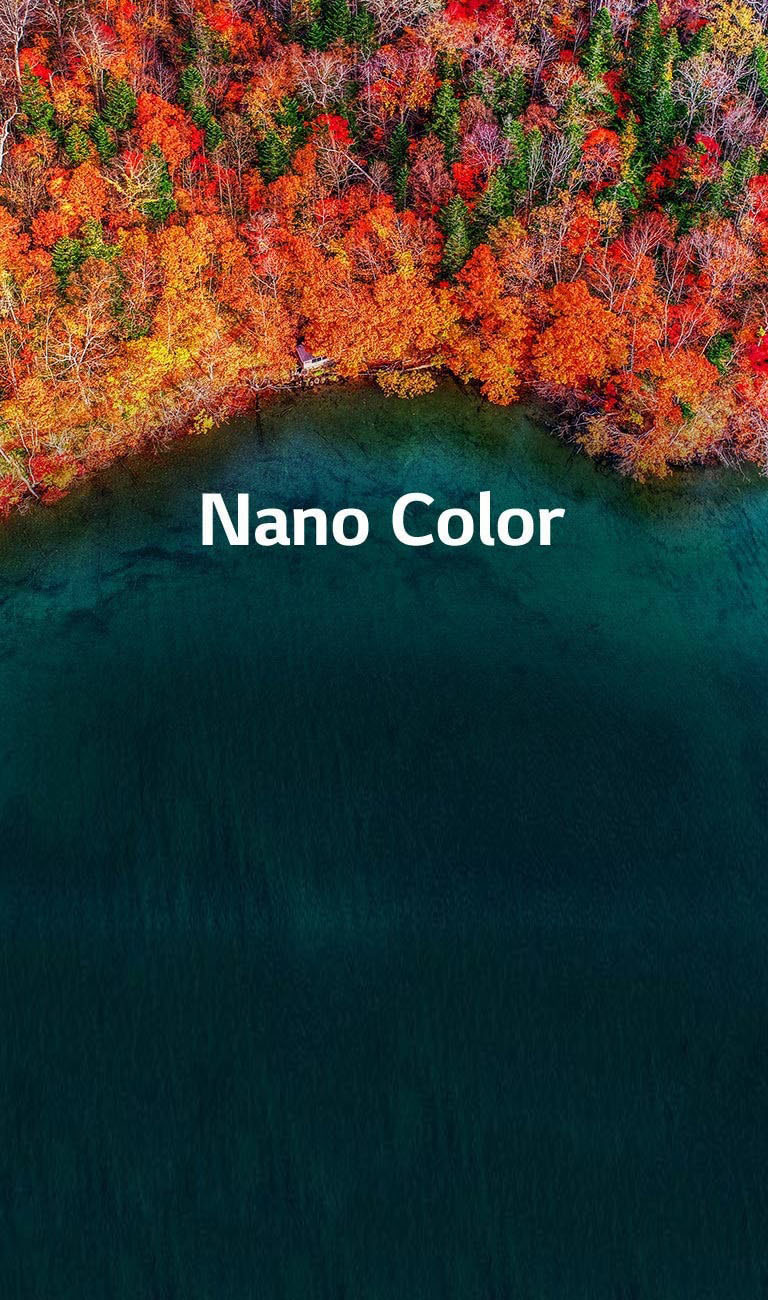 Une pureté de couleur raffinée2