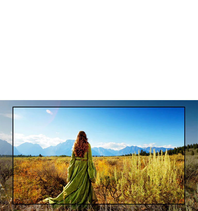 Un écran du téléviseur montrant une scène d'un film fantastique présentant une femme debout dans les champs face aux montagnes.