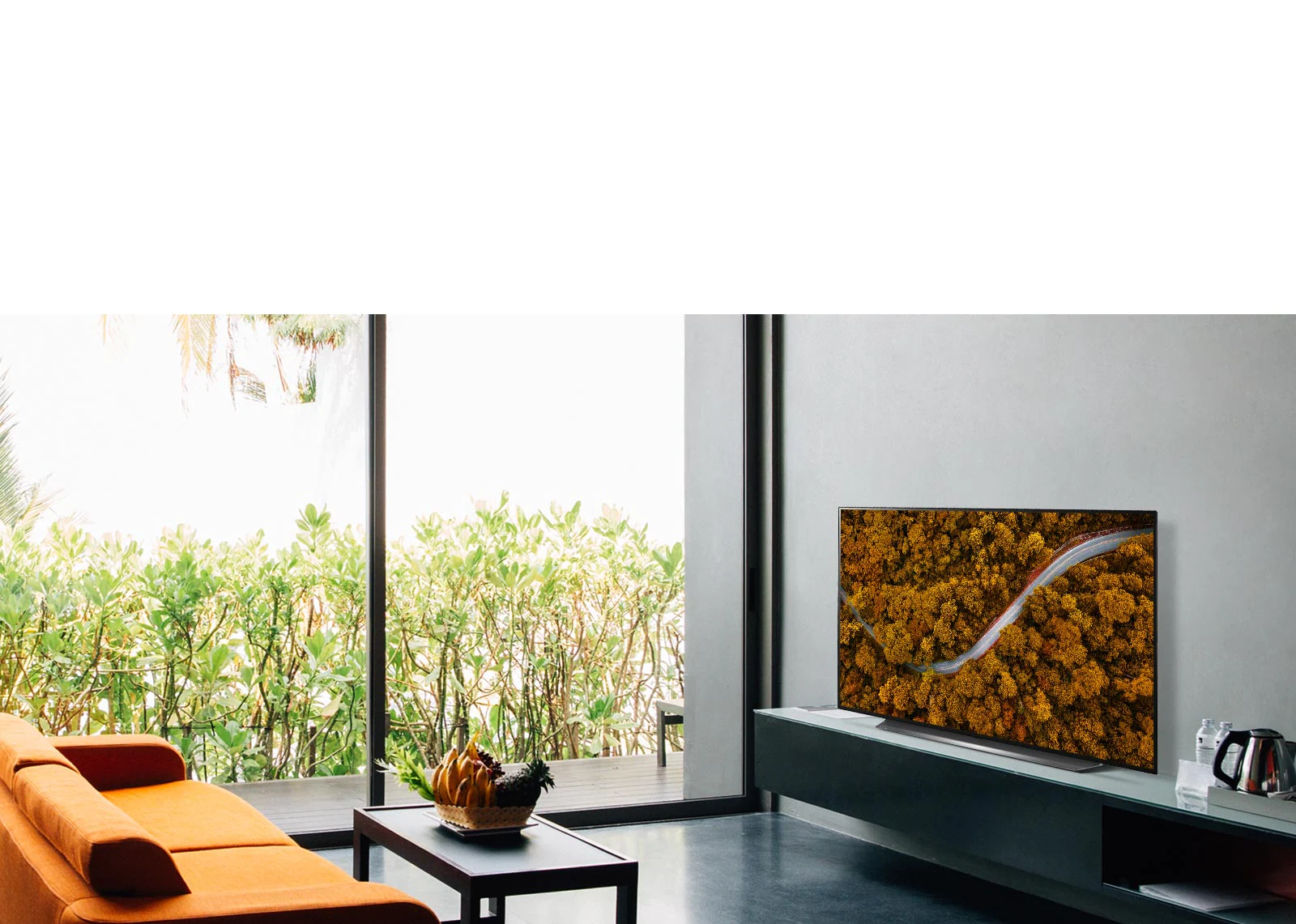 Salon avec un canapé et un téléviseur présentant une vue aérienne de la nature