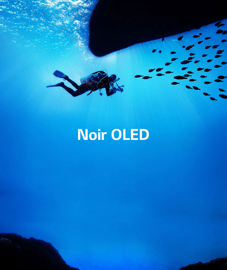 Les images prennent vie2