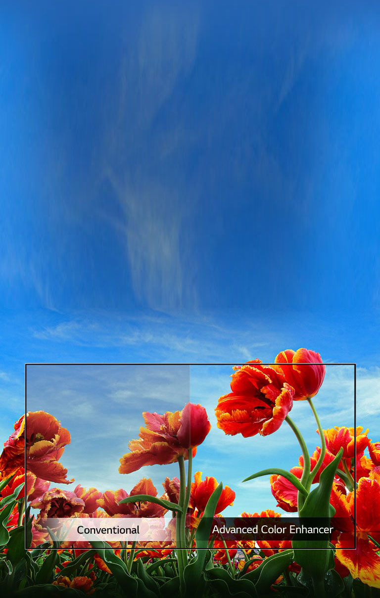 Dynamic Color Enhancer2