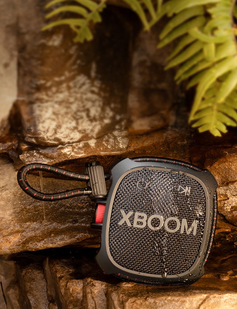 Potencia tus aventuras cotidianas