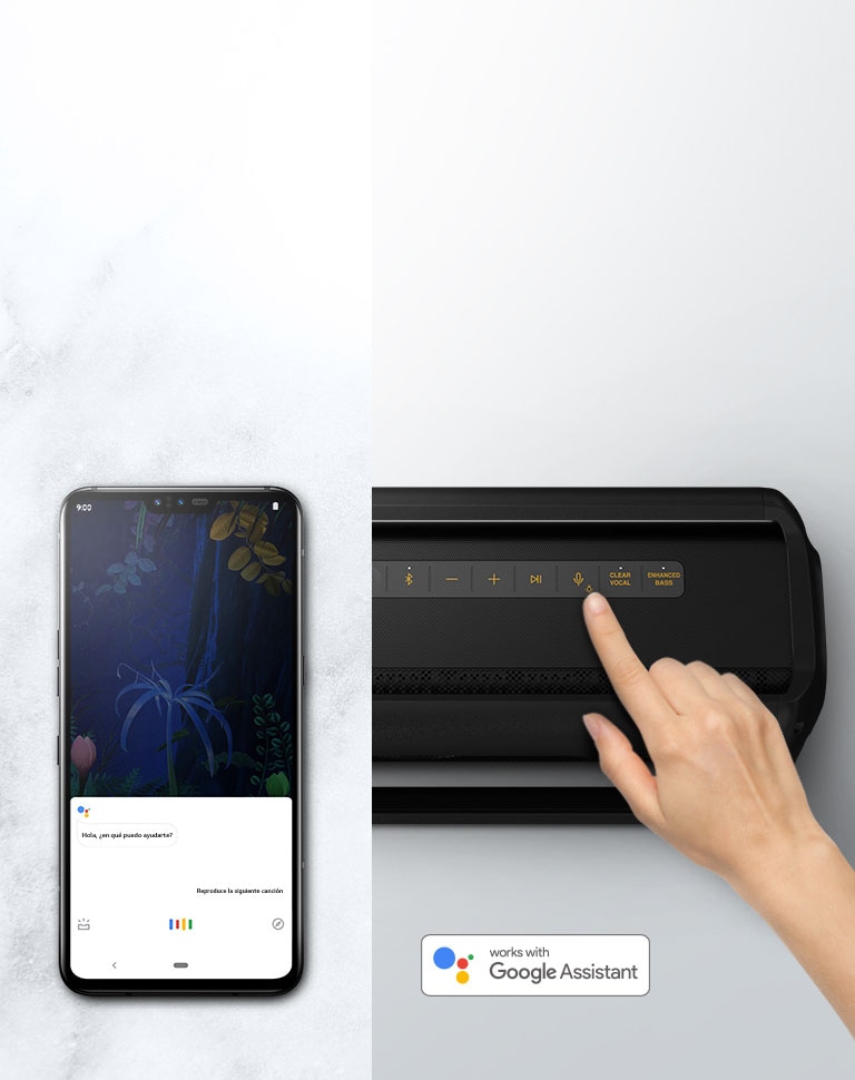 Comando de voz para el control remoto2