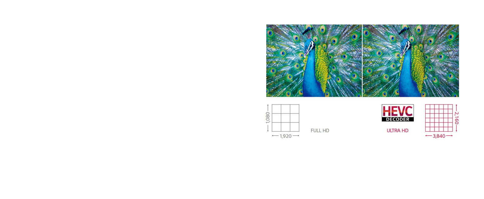 Varios tamaños con Ultra HD1