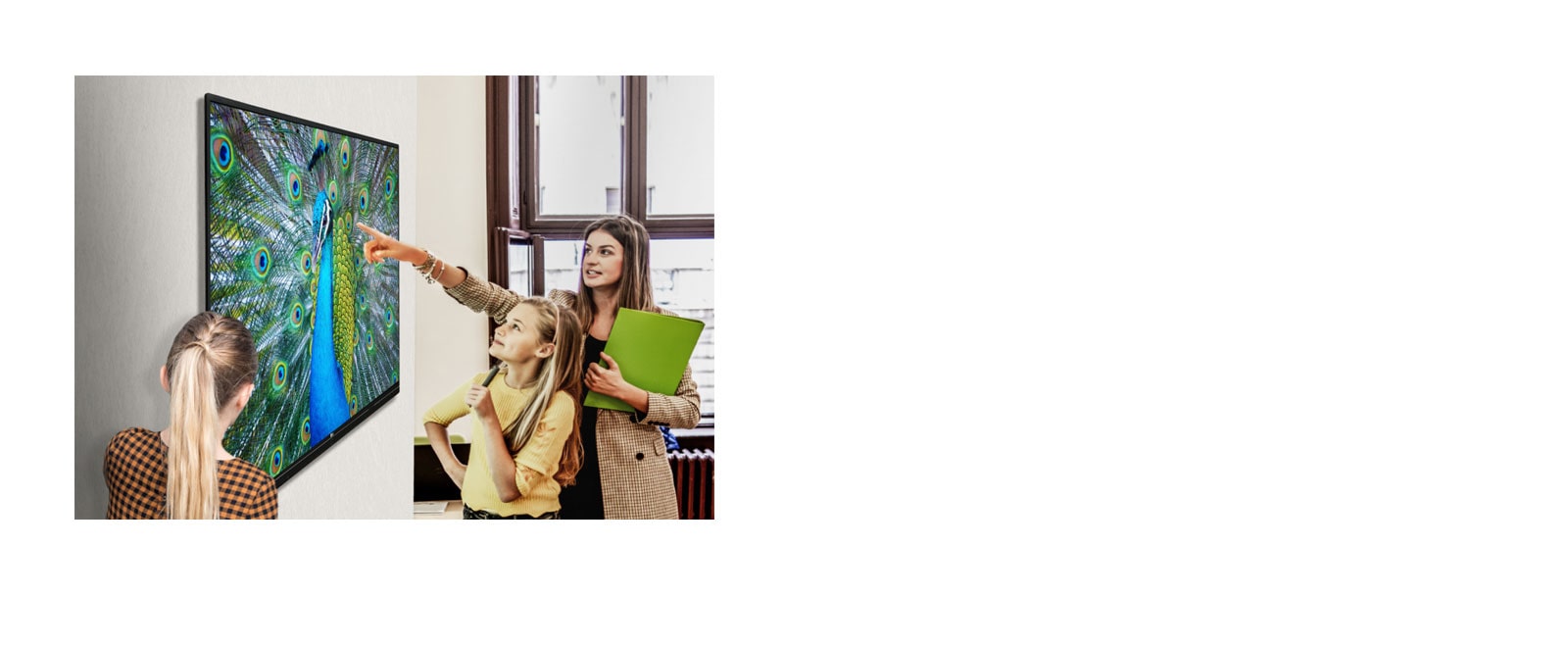 Color verdadero, vista envolvente1