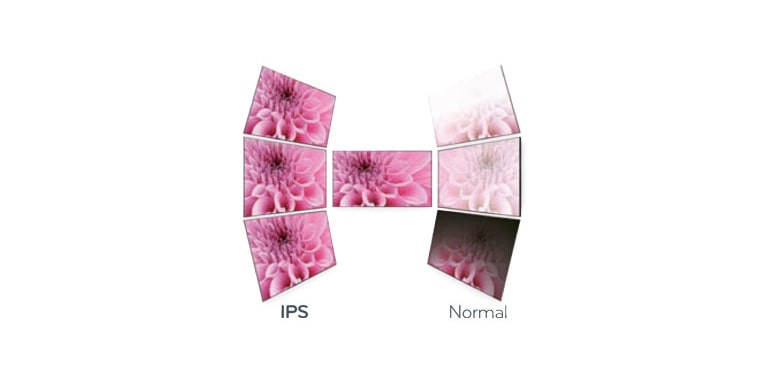 GRAN ÁNGULO DE VISIÓN<br>2