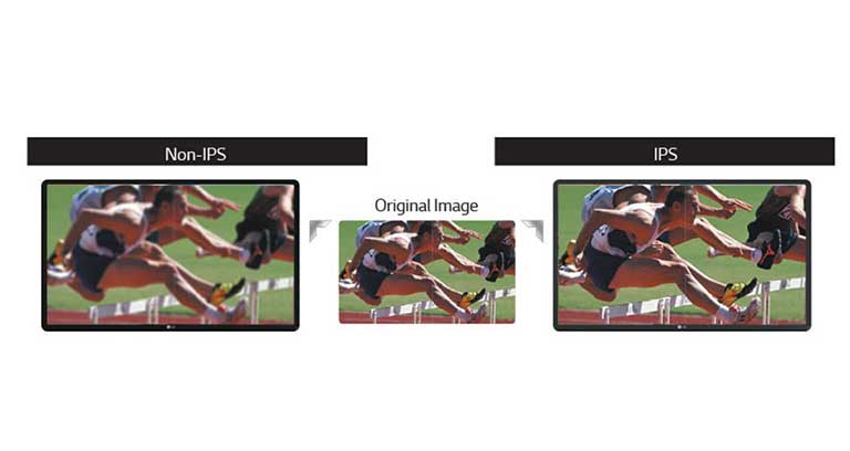 CALIDAD DE IMAGEN DE IMAGEN REALISTA<br>2